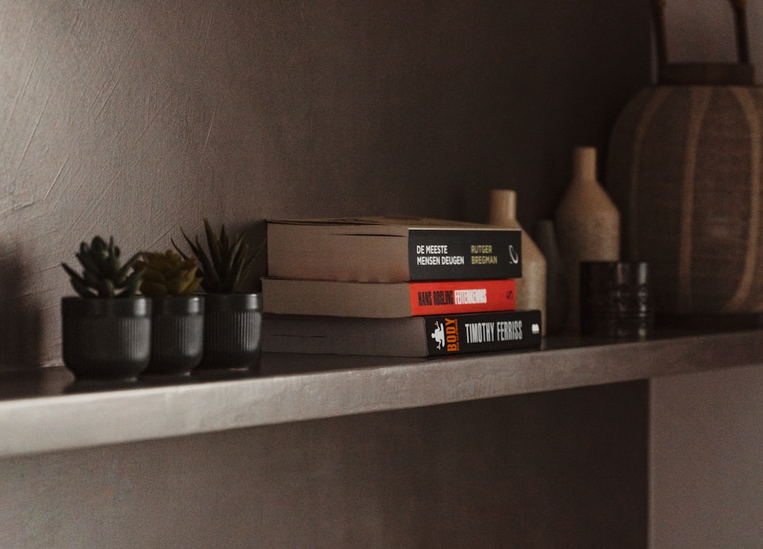 Elevate Your Space: Budget-Friendly Home Decor Products That Wow Elevate Your Space: Budget-Friendly Home Decor Products That Wow